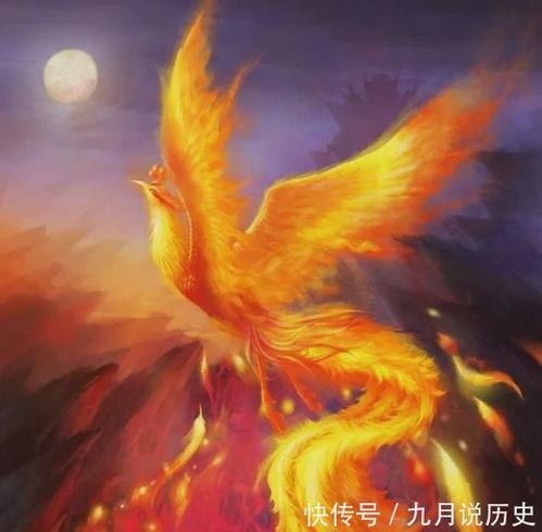 迎亲之辱凤凰涅槃,凤凰涅槃，浴火重生  第2张